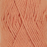 19 apricot